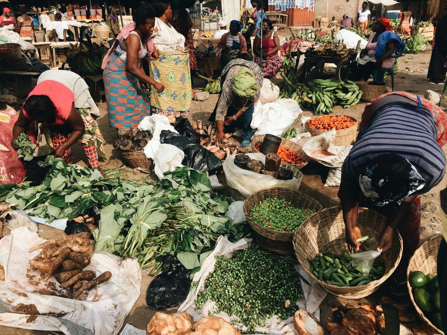 Sustainable Livelihoods: Pathways Out of Poverty